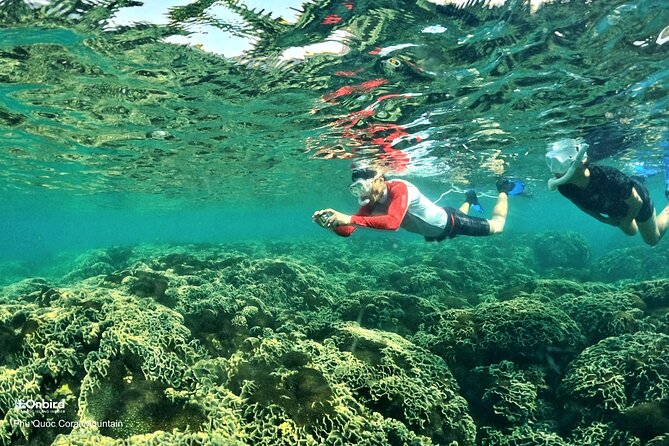 PROFESSIONAL SNORKELING to Explore Hidden Coral Spots (MAX 9 PAX)