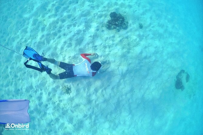 PROFESSIONAL SNORKELING to Explore Hidden Coral Spots (MAX 9 PAX) - Common questions