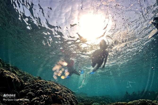 PROFESSIONAL SNORKELING to Explore Hidden Coral Spots (MAX 9 PAX) - Additional Information