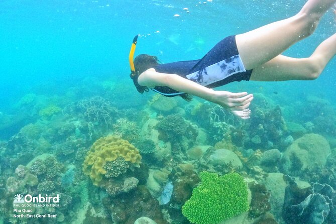 Onbird - Private Family KID-FRIENDLY Snorkeling Trip by Speedboat in Phu Quoc - Last Words