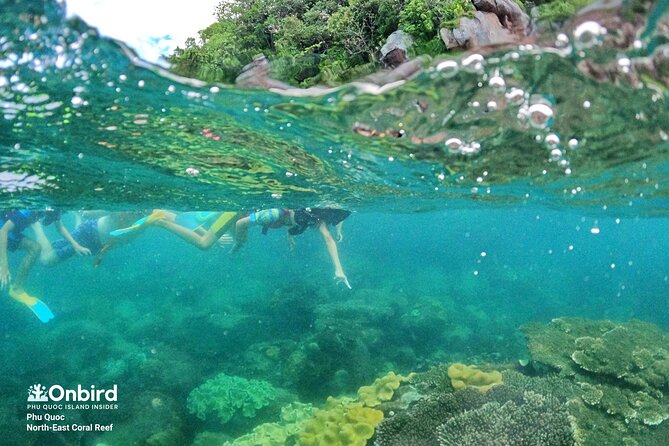 Onbird - Private Family KID-FRIENDLY Snorkeling Trip by Speedboat in Phu Quoc - Common questions