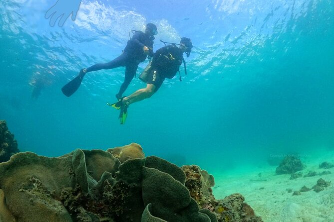 SCUBA DIVING OPTION For Beginners in Phu Quoc Island - SCUBA Diving Equipment Provided