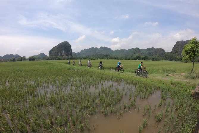 Private Ninh Binh - Mua Cave - Trang An - Bich Dong Full Day Tour - Customer Reviews