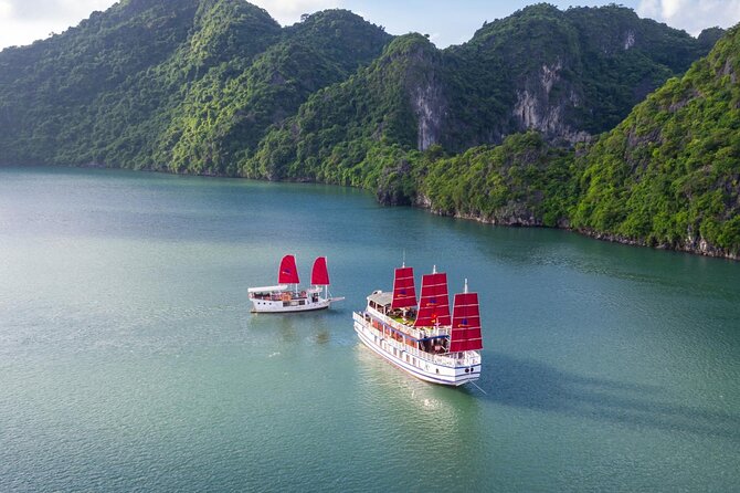 Halong Amazing Sail Luxury 1 Day Small Group Tour 7-Hour Cruising - Customer Reviews