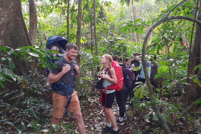 From Ninh Binh Cuc Phuong National Park One Day Trekking Tour - Trekking Through Scenic Routes