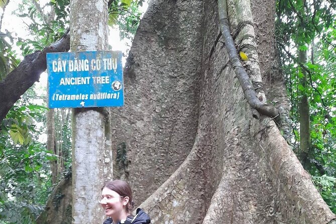 From Ninh Binh Cuc Phuong National Park One Day Trekking Tour - Exploring Cuc Phuong National Park