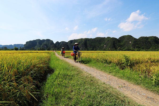 Discover Trang An Natural World Heritage, Bich Dong Pagoda, Cycling Day Tour - Hassle-Free Pickup and Drop-Off