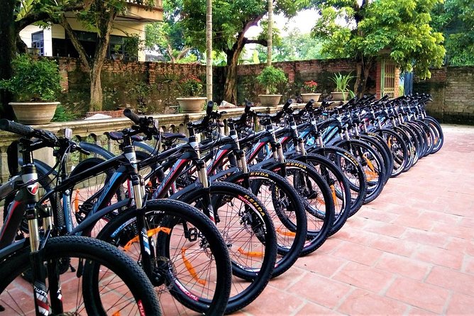 Discover Trang An Natural World Heritage, Bich Dong Pagoda, Cycling Day Tour - Directions and Local Experiences