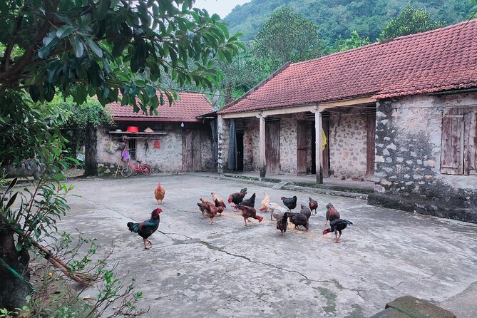 Discover Trang An Natural World Heritage, Bich Dong Pagoda, Cycling Day Tour - Meeting and Pickup Information