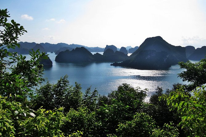 Best Seller Halong Bay Cruises