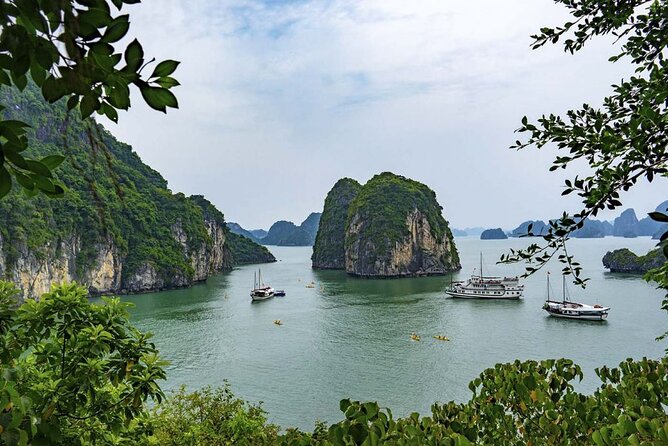 Best Seller Halong Bay Cruises - Important Policies to Note