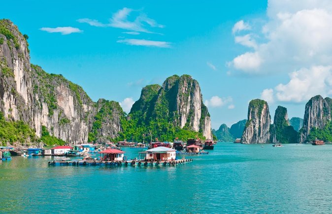 Buffet on Paradise Delight Dining Cruise Halong Bay Day Tour - Good To Know