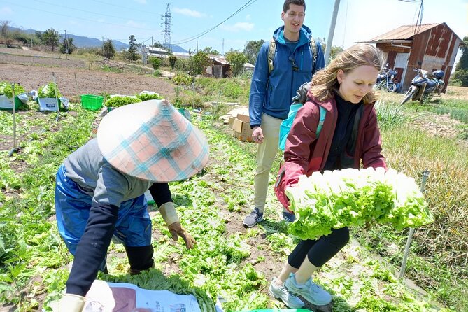 Private Day Tour – Exploring Dalat Countryside & Cooking Lunch