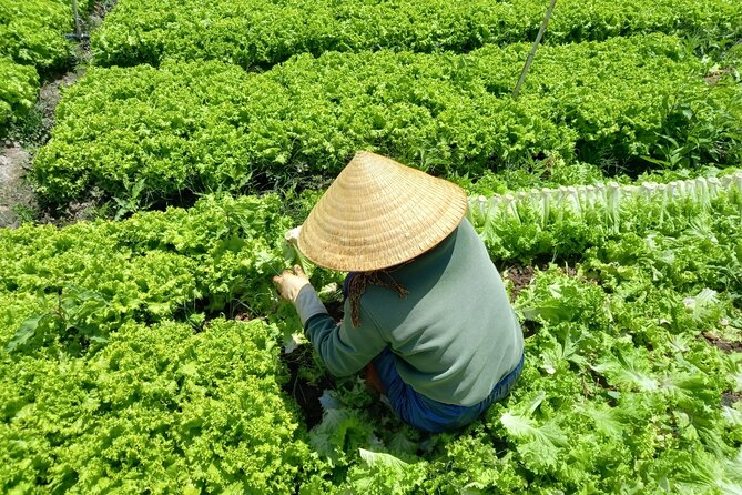 Private Day Tour - Exploring Dalat Countryside & Cooking Lunch - Tour Overview