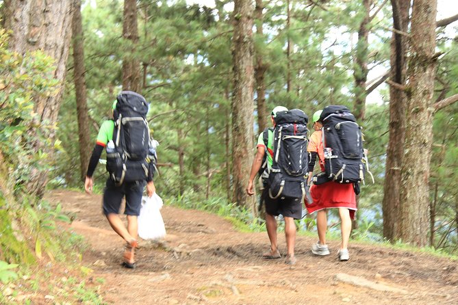 Trek On Langbian Mountain