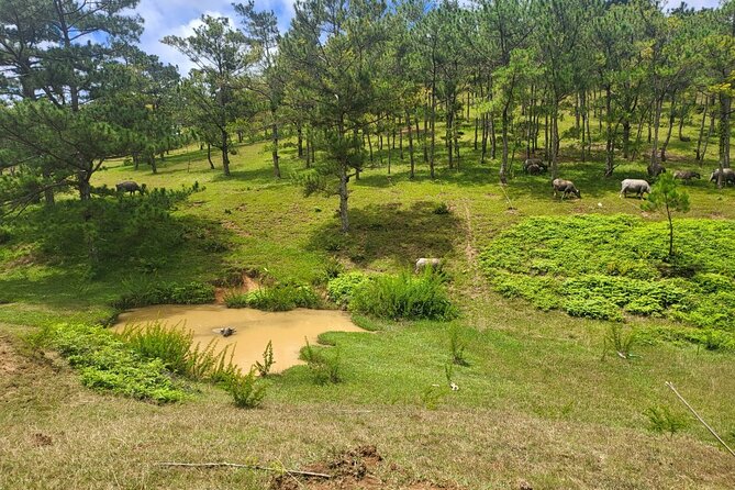 ATV Tour In The Dalat Mountains - Key Points