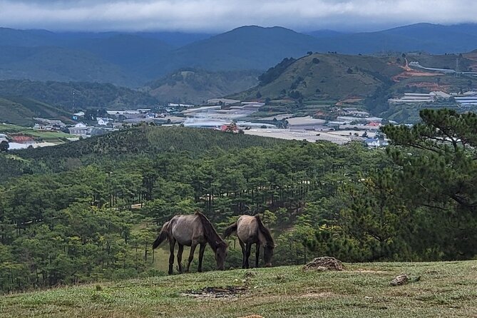 ATV Tour In The Dalat Mountains - Pricing & Booking