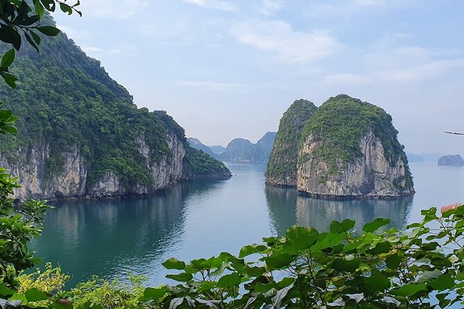 Ha Long Bay Cruise Day Tour - Cave, Kayaking, Swimming & Lunch - Pricing and Booking Information