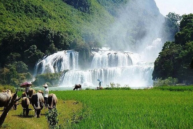 Ban Gioc Waterfall 2 Days 1 Night From Hanoi - Common questions