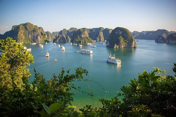 Halong Bay in Just One Day With Ti Top Island - Full-Day Tour Itinerary