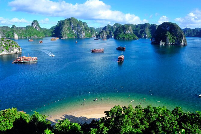 Orchid Cruises Halong Bay 2Day/1Night on 5 Star - Sightseeing Opportunities