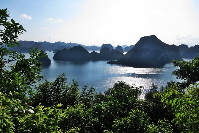 V Spirit Cruises Halong Bay 2 Days/1 Night 5 Star - Onboard Activities