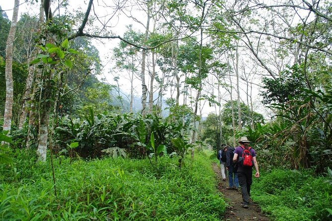 Cuc Phuong National Park Private Day Tour: Trekking & Primates - Tour Inclusions