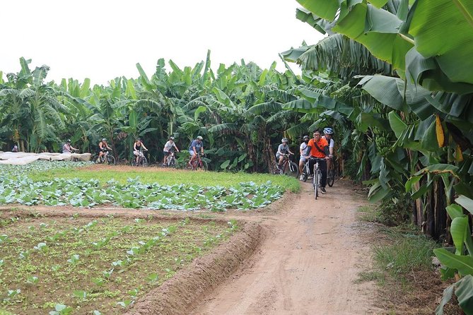 Half-Day Bicycle Tour of Hanoi City & Countryside + Train Street - Inclusions and Amenities