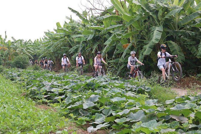 Half-Day Bicycle Tour of Hanoi City & Countryside + Train Street - Booking Details