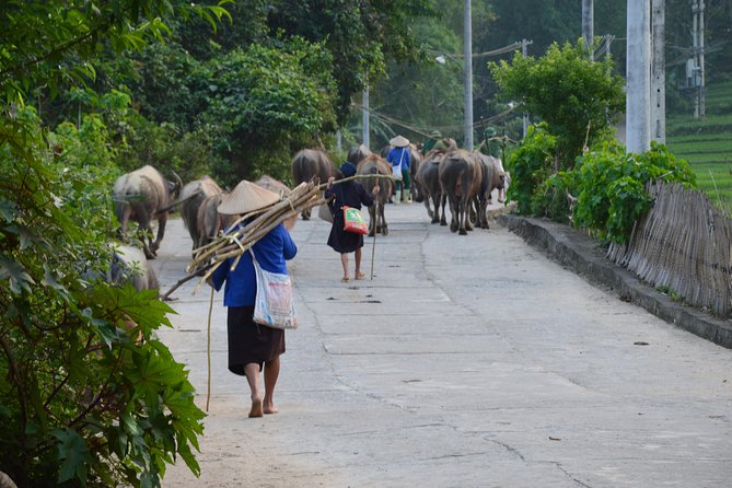 6-Day off the Beaten Track Tour of North Vietnam From Hanoi - Pricing Information