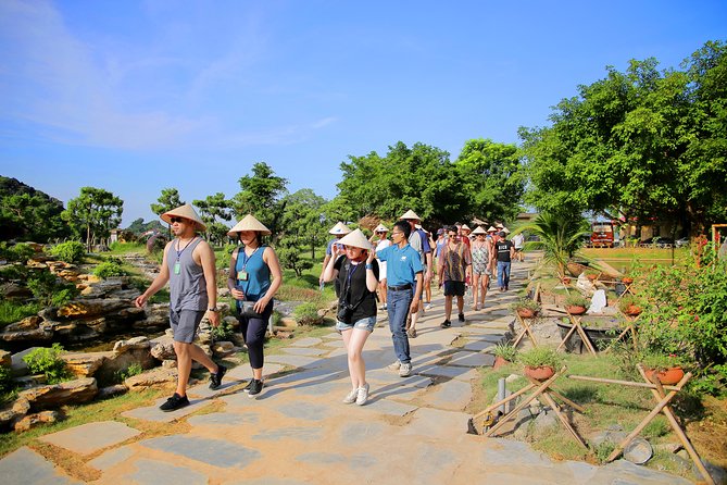 Luxury Hoa Lu Tam Coc Mua Cave 1 Day With Limousine Bus And Lunch - Operator Information