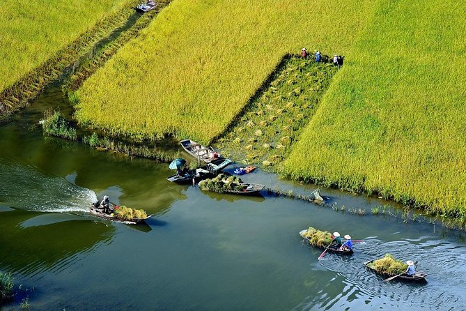 Full Day Hoa Lu Temples & Tam Coc Boating- Cycling - Inclusions and Amenities