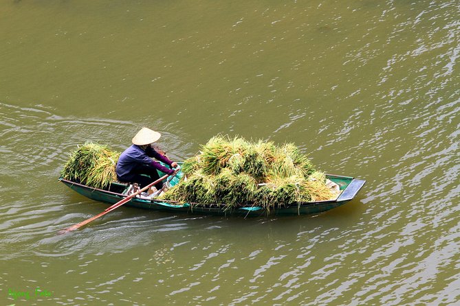 Full Day Hoa Lu Temples & Tam Coc Boating- Cycling - The Sum Up