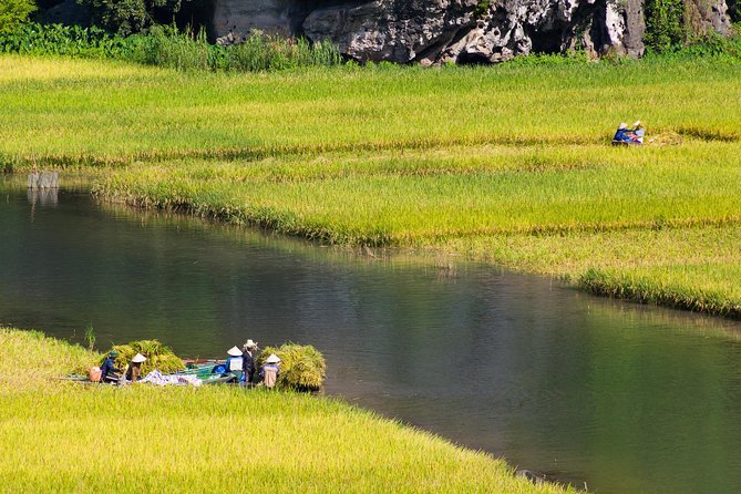 Full Day Hoa Lu Temples & Tam Coc Boating- Cycling - Customer Reviews and Testimonials