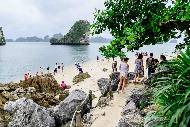 From Ha Noi- Ha Long Bay With Buffet Lunch on Luxury Cruise - Meeting and Pickup