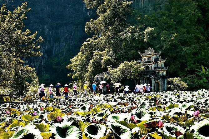 Ninh Binh Day Tour Small Group - Luxury Transfer - Meeting Point and Pickup