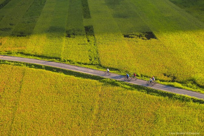 Ninh Binh Day Tour Small Group - Luxury Transfer - Common questions