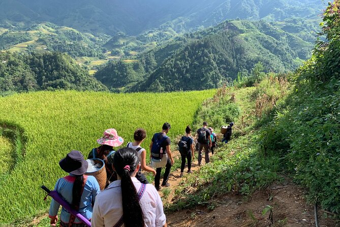 Sapa Trekking Tour 2 Days 1 Night By Bus