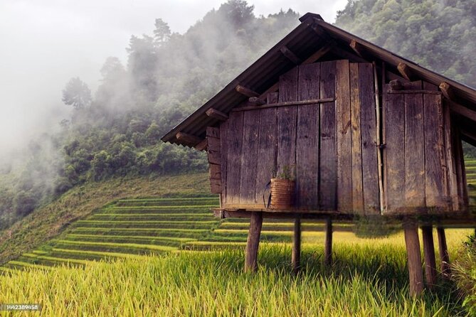 6 - 8 Day Vietnam Itinerary | Magnificent | Best  Northern - Day 5: Discovering Ninh Binh