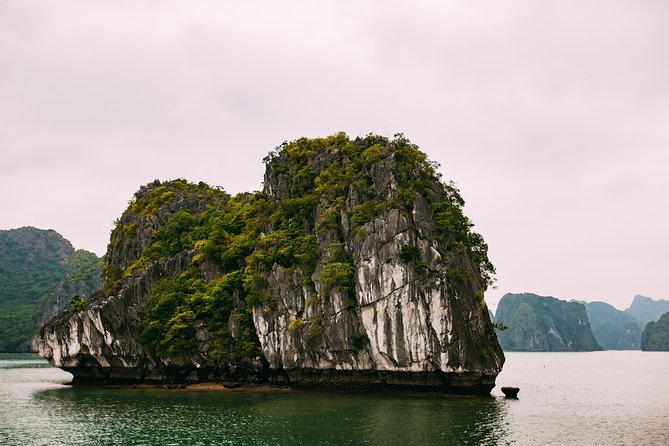 Excursion to Ha Long Bay With Titop Island and Kayaking in Luon Cave - Reviews Overview