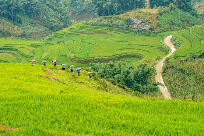 Sapa Trekking 3 Days 2 Nights (Homestay) - Departure From Hanoi - Common questions