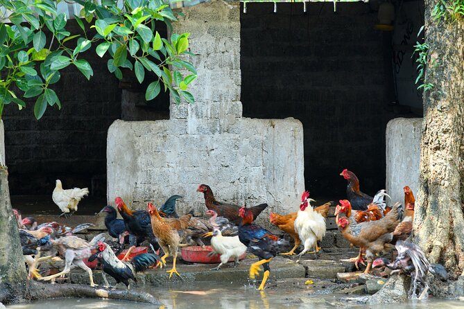 Ninh Binh 2 Days 1 Night Tour From Hanoi (Small Group of 9) - Last Words