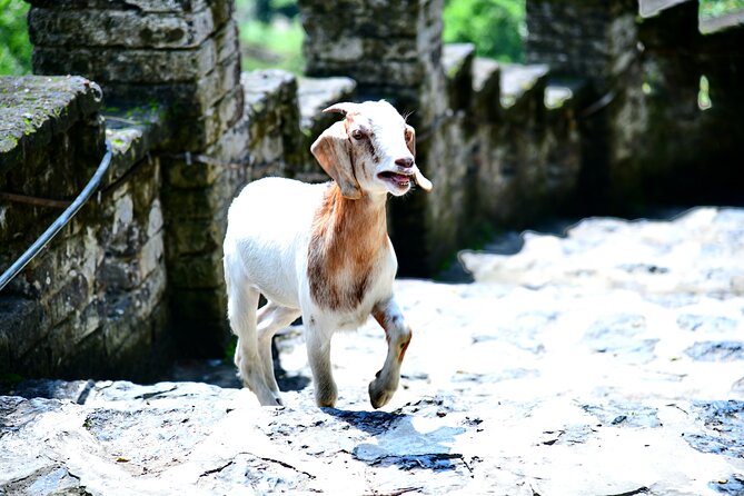 Ninh Binh 2 Days 1 Night Tour From Hanoi (Small Group of 9) - Common questions