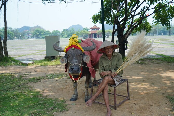 Ninh Binh One Day Trips- From Hanoi - Price and Booking Information