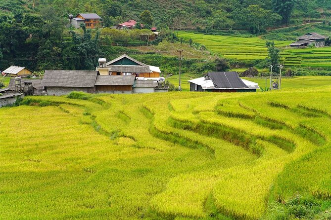 Sapa 2 Day 1 Night With 3Star Hotel Trekking Cat Cat - Fanxifang - Pickup Information