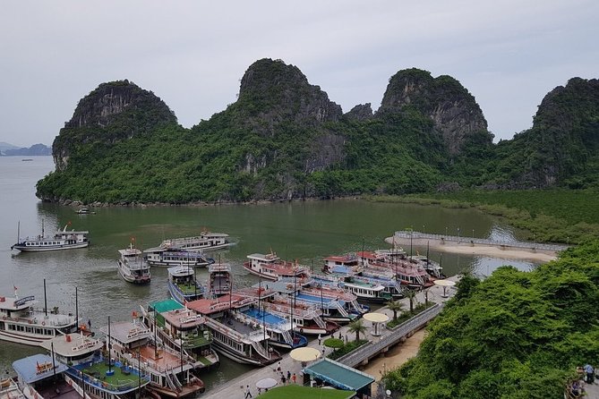 Halong Bay Cruise Tour From Hanoi With Kayak Adventure - Booking and Confirmation Process