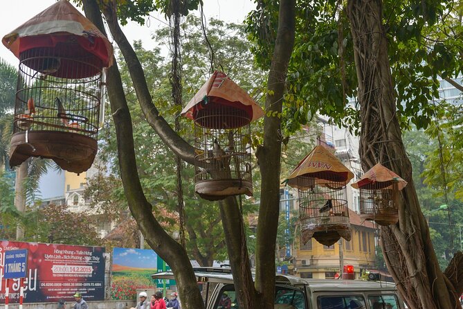 Private Sightseeing in Hanoi With Street Food Tasting - Last Words