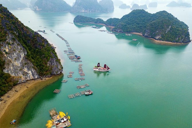 Ha Long Bay Cruise Day Tour - Best Selling: Kayaking, Swimming, Hiking & Lunch - The Sum Up