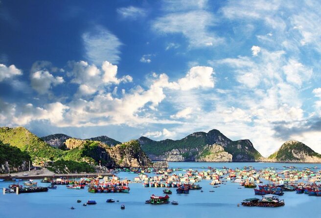 Mon Chéri Cruises 5 Star: Amazing 3 Days Exploring Halong & Cat Ba Island - Pricing and Customer Reviews