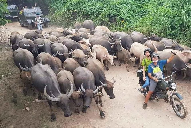 Hanoi Countryside Motorbike Tour: Red River Culture & Daily Life - Good To Know